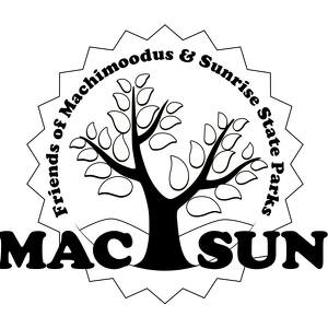 Fundraising Page: Kelly Loomis